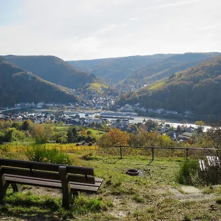 Apartament Moselroyal Neu Luxus 2-4 P- Moselblick Klima By Interhome Traben-Trarbach
