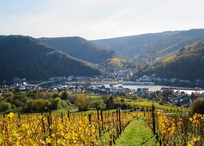 Moselroyal Neu Luxus 2-4 P- Moselblick Klima By Interhome * Traben-Trarbach